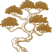 THE NIWAKI